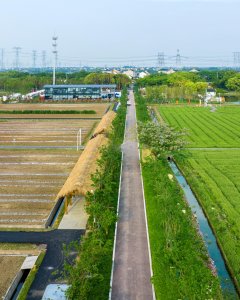 田间路