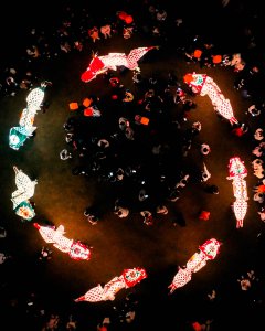 《游园鲤梦 闹春忙》