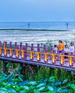 栈道赏荷