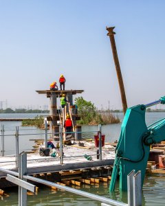 《荷花湾建设》组照