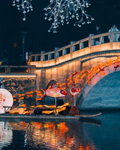 灯火阑珊处，鱼戏映月桥