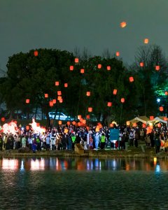 《千灯共舞寄星河》