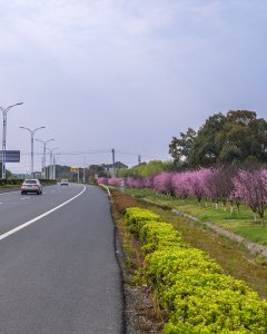 美丽公路