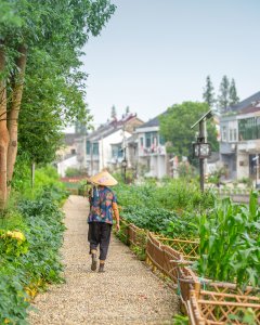 乡村印象