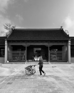 吴江文庙修缮（组照12幅）