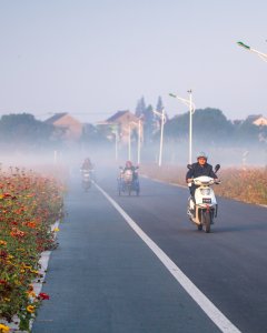 花路晨雾