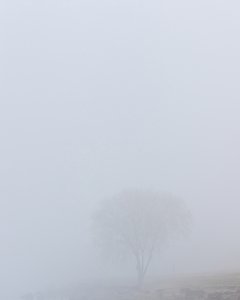 浓雾间