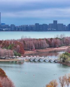 鱼跃虹桥水墨元霄