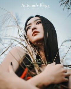 深秋的挽歌（天歌篇）——是不是应该叫深秋的微笑？