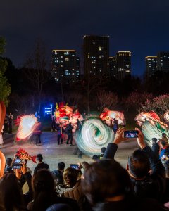 《灯影醉游人》