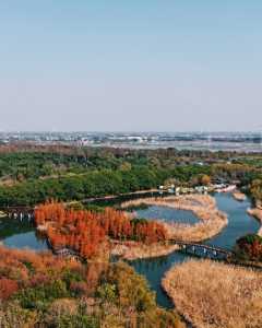 湿地调色盘
