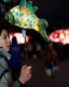 《灯影下的温柔》