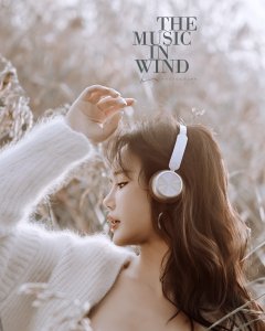 风里的音符——东太湖边的芦苇虽然枯了但还是好出片