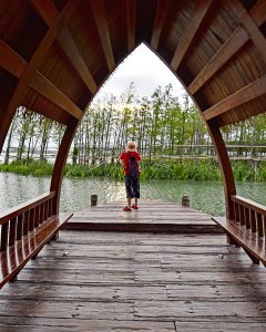 汾湖生态园