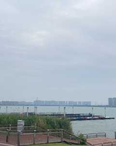 东太糊
