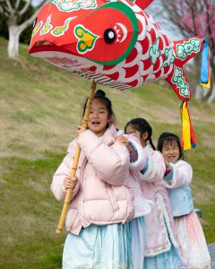 《我们也来个巡游》
