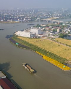 运河与太浦河在这里交汇