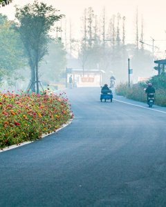 谢家路晨雾