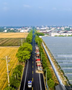 收麦的路上