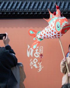 《我与鱼儿合个影》（组照）