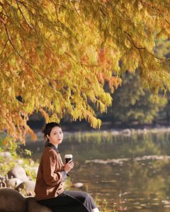 杉杉来迟，焦糖初冬