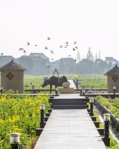 《春光明媚》拍摄地点：平望梅堰庙头村；拍摄时间2021年3月