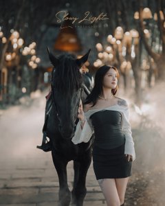 慢光——同一个地方，同一匹马，不同的主角，不同的色调