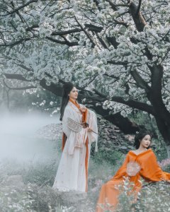 梨殇——两位古代美女在西山邂逅一场梨花梦