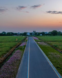 飞云谢家路