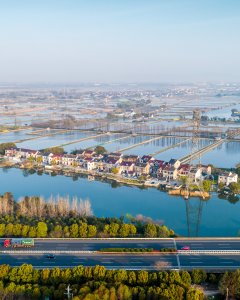 苏震桃公路长漾