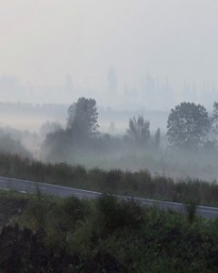 晨曦乡路