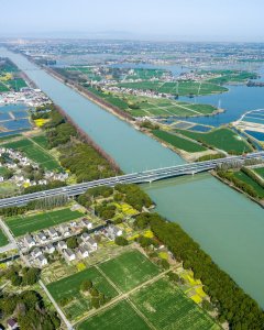 春到太浦河