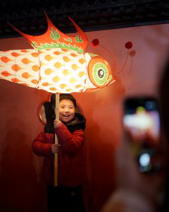 《春夜鱼灯，岁岁长安》