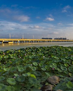 迷人的东太湖夏日