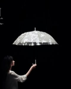 字我订造——苏州歌词展上捕获岁月回响