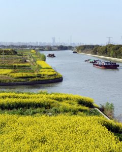 屯溪河春色