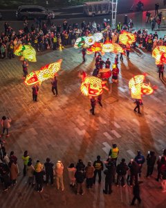 魚跃东太湖，灯映江南夜