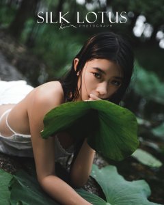 丝绸之莲——我在苏州白鹭园看到一朵无与伦比的莲花
