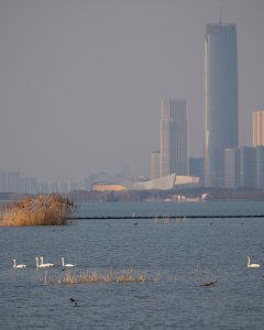生态湖湾
