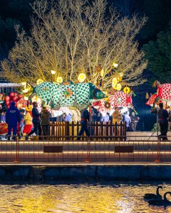 《灯、树、鹅的协奏曲》