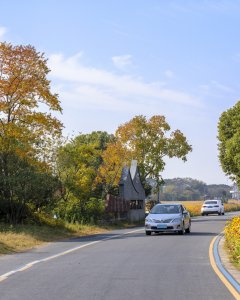 《谢家路秋色》拍摄地点：震泽谢家路；拍摄时间：2022年1...