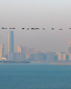 为你而来