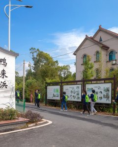 鸭来浜之旅