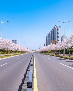 黎里镇临沪大道