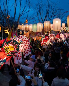 瞻淇鱼灯闹元宵
