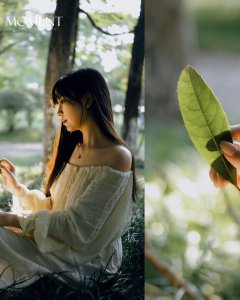 一刻（林篇）——在黄昏的独墅湖边留下美丽注脚