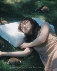 动物园里的白日梦——还是乳胶枕头睡得香啊