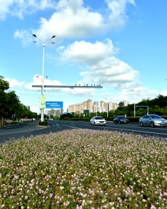 东太湖大道