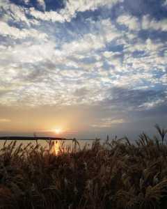 日落东太湖