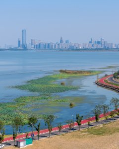 魅力湖湾